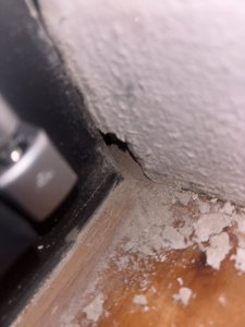 IMG_8235.jpeg