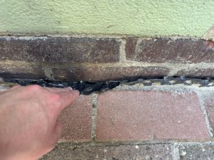 IMG_3634.JPEG