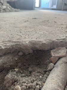 IMG_4666.jpeg