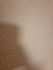 image-1784062872816.jpg