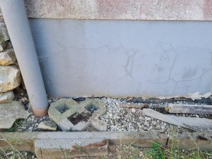 1000061127 (1).jpg