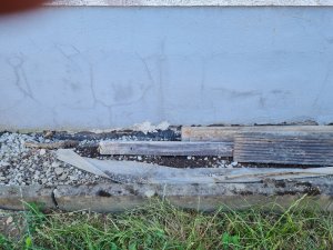 1000061128 (1).jpg