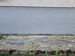 1000061130.jpg