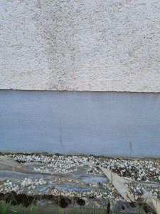 1000061131 (1).jpg