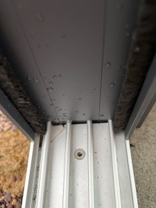 IMG_7902.jpeg
