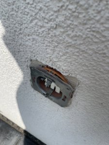 IMG_6599.jpeg