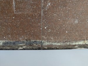 PXL_20260502_105707310.jpg