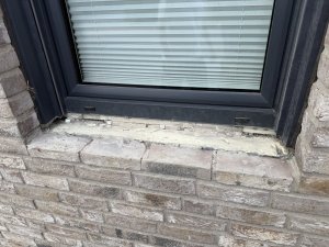 IMG_0577.jpeg