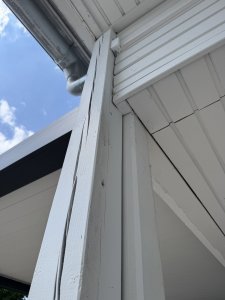 IMG_2705.jpg