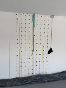 IMG_0113.jpeg