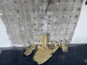 IMG_0199.jpeg