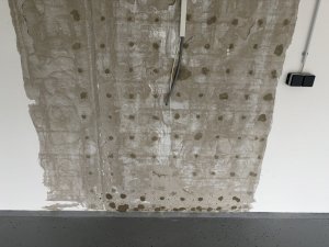 IMG_0201.jpeg