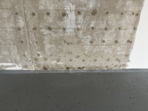 IMG_0217.jpeg