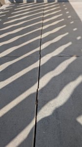 PXL_20260716_081622960.jpg
