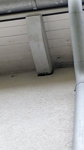 PXL_20260725_163004834.jpg