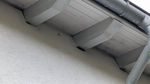 PXL_20260725_162933648.jpg