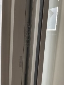 IMG_1137.jpeg