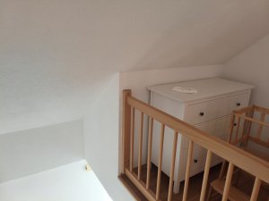 IMG_20260728_114048.jpg