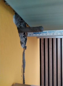 IMG_20260615_191209.jpg