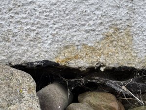 IMG_7594.jpg