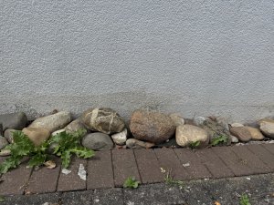 IMG_7642.jpg