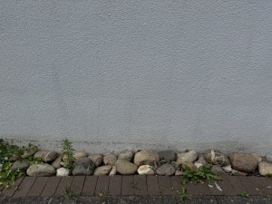 IMG_7643.jpg