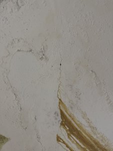 119455-48d70887c7123b7c4e82304fd6609a46.jpg