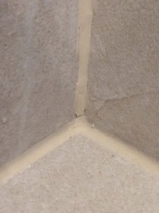 PXL_20260730_050354520.jpg