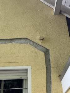 IMG_8824.jpeg