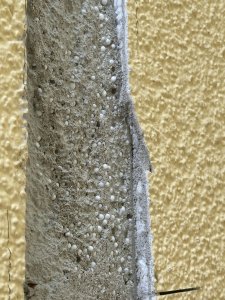 IMG_8825.jpeg
