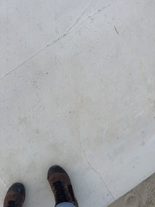 IMG_2019.jpeg