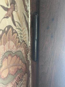 IMG_2217.jpeg