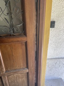 IMG_2216.jpeg