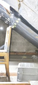 IMG_20260730_105546.jpg