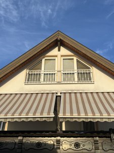 IMG_7090.jpeg
