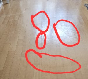 20260802_101153.jpg