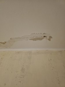 20260802_184206.jpg