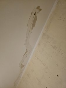 20260802_184211.jpg