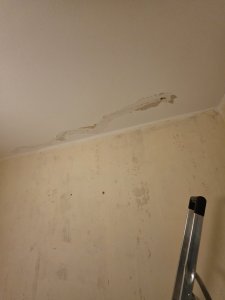 20260802_184216.jpg