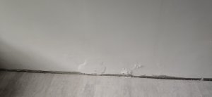IMG_20260804_144535.jpg