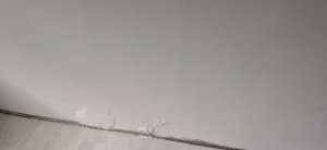 IMG_20260804_144524.jpg