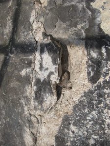 Riss von Oben Detail (5).jpg