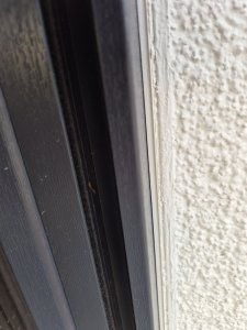 20260717_203819.jpg