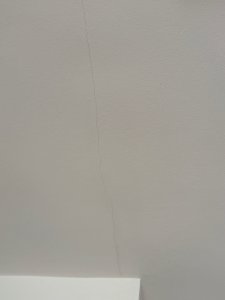 IMG_2320.jpeg