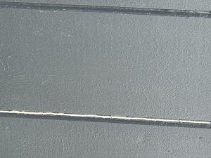 IMG_6324.jpeg