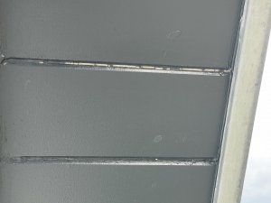 IMG_6323.jpeg