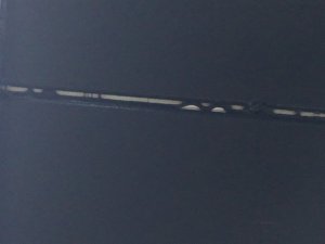 IMG_2838.jpeg