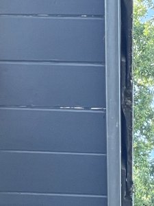IMG_6312.jpeg