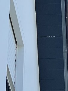 IMG_6311.jpeg