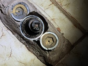 IMG_3621.JPEG